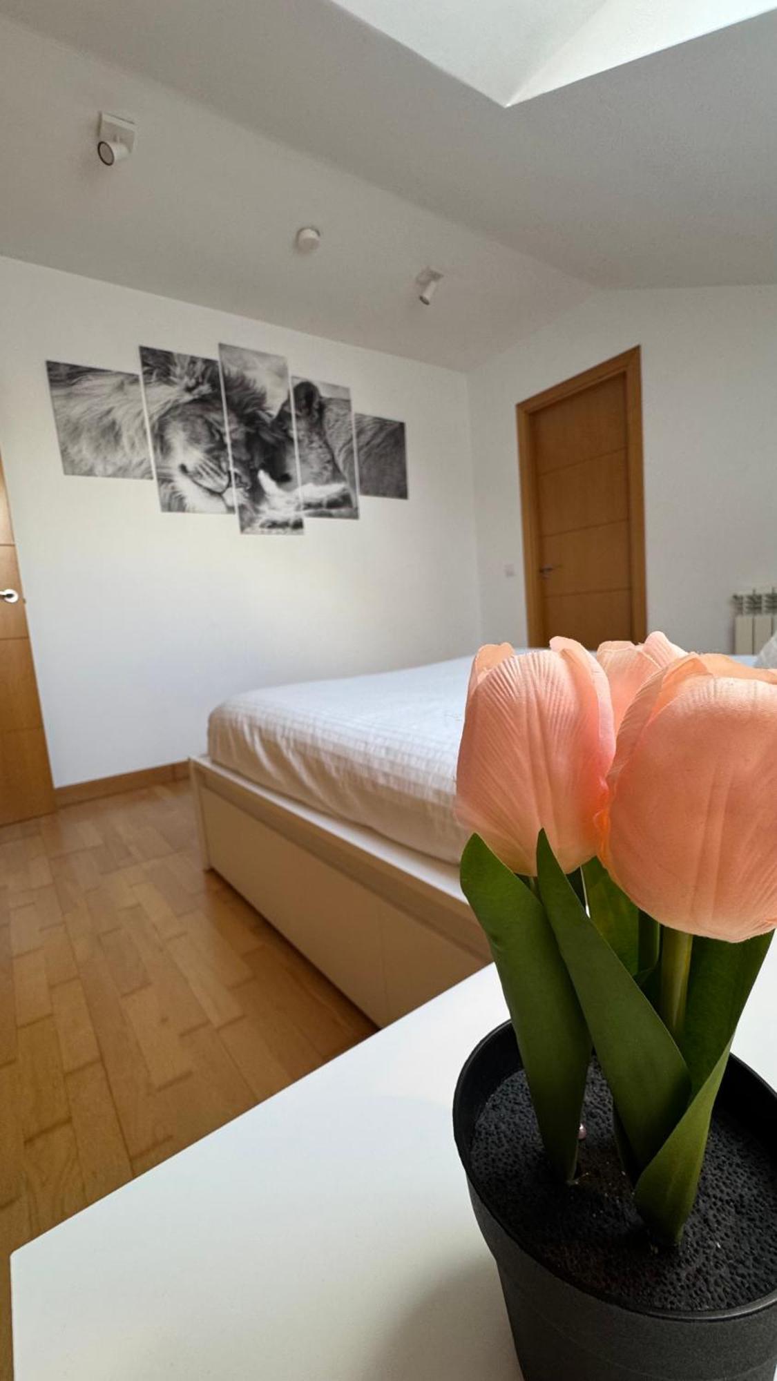 Apartamentos Suites Olmedo Buitenkant foto